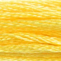 Embroidery Floss