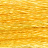 Embroidery Floss