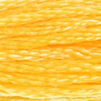Embroidery Floss