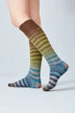 Sock Boxes