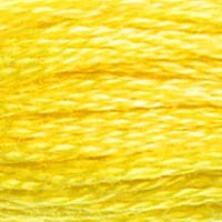 Embroidery Floss