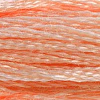 Embroidery Floss